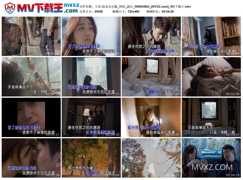 王岩-卤水点豆腐_国语_流行_MB503883